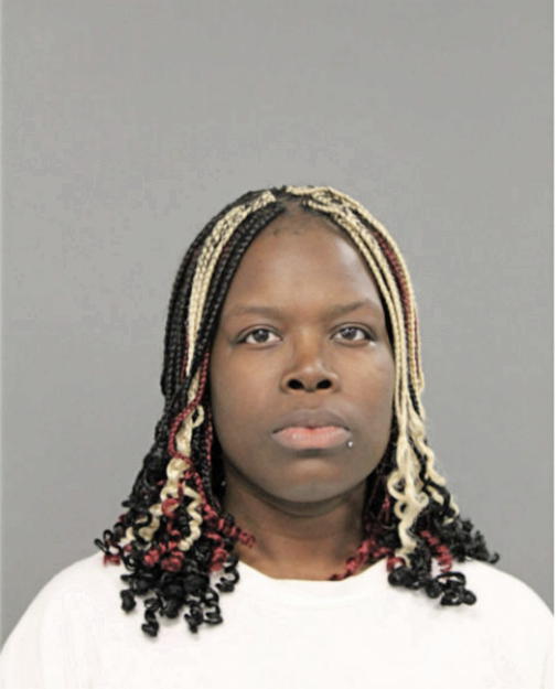DELILAH S HOGAN, Cook County, Illinois