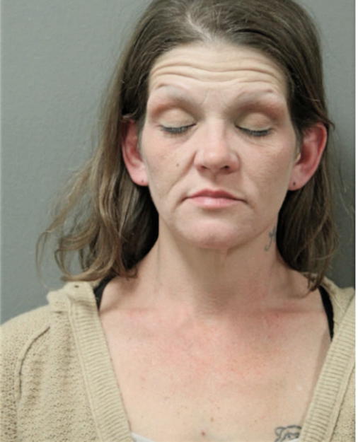 JENNIFER LEWIS, Cook County, Illinois