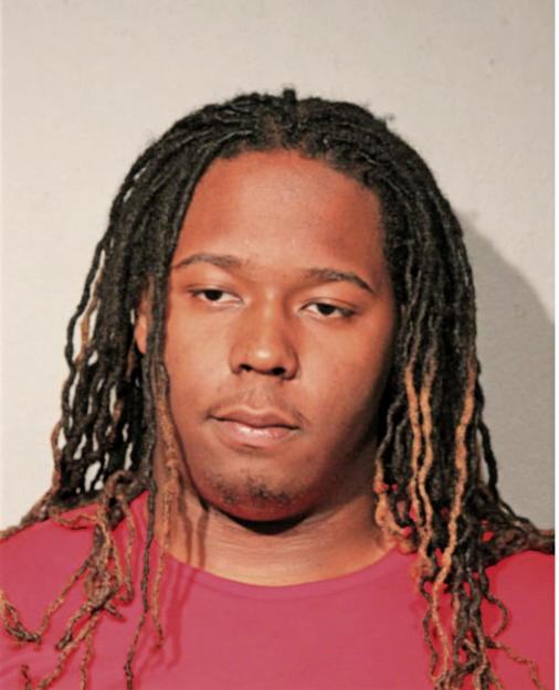 CHRISTIAN J LOGAN, Cook County, Illinois