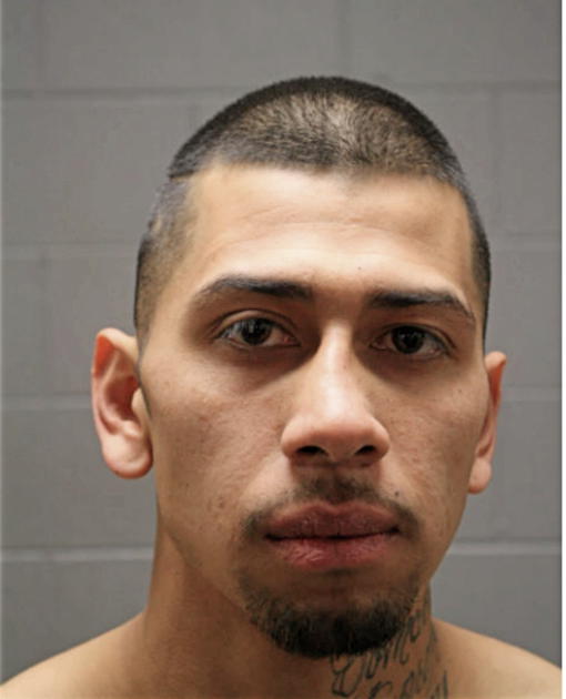 ALBERTO MARTINEZ, Cook County, Illinois