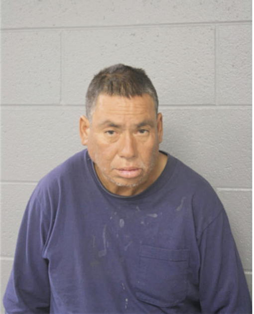 SAUL MENDOZA, Cook County, Illinois