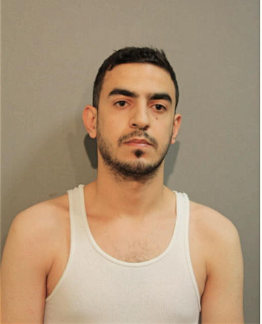 MOMEN R NAALWEH, Cook County, Illinois