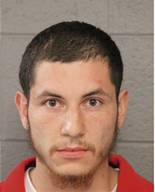 ARIEL NAVA, Cook County, Illinois