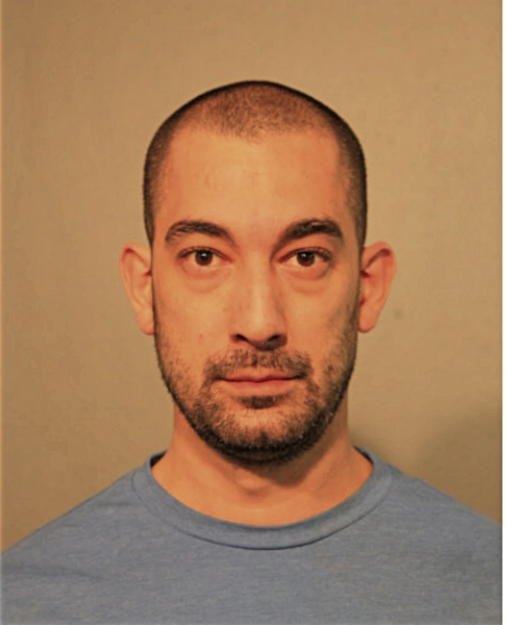 ROBERT N NEUMANN, Cook County, Illinois