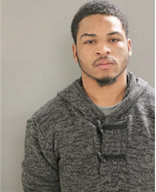 ARTAVIUS T SIMS, Cook County, Illinois