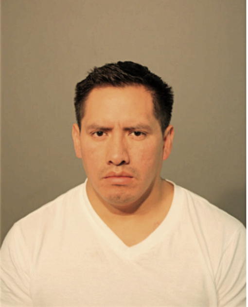 SEGUNDO VICTOR TENEZACA, Cook County, Illinois