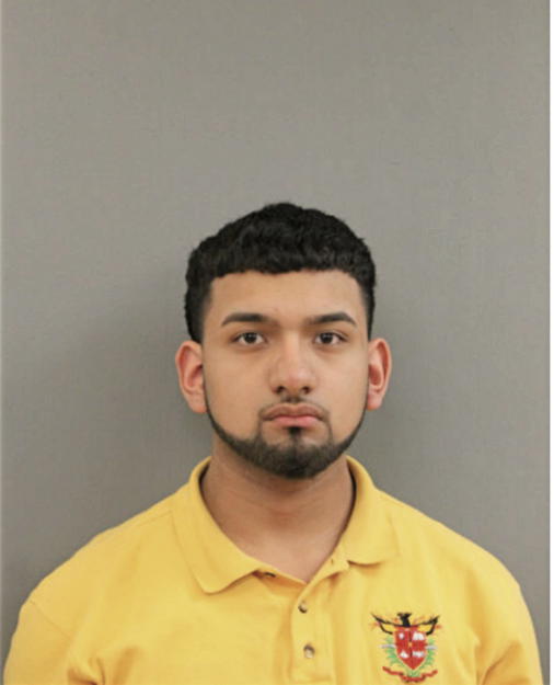 LUIS M VARGAS, Cook County, Illinois