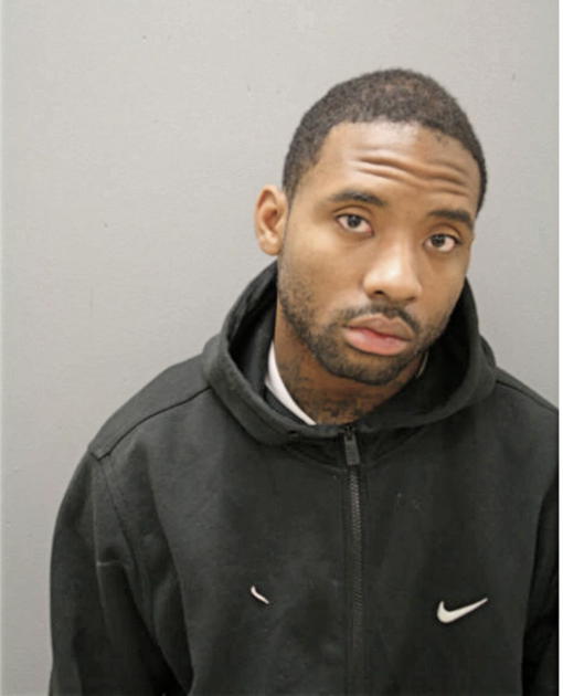LEON C ANDERSON, Cook County, Illinois