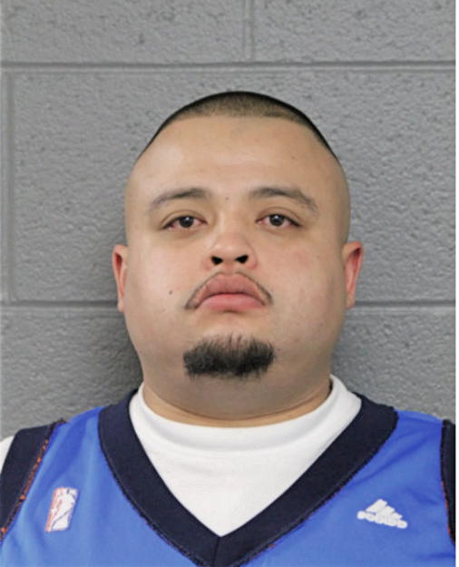 JOSE L ANDRADE, Cook County, Illinois