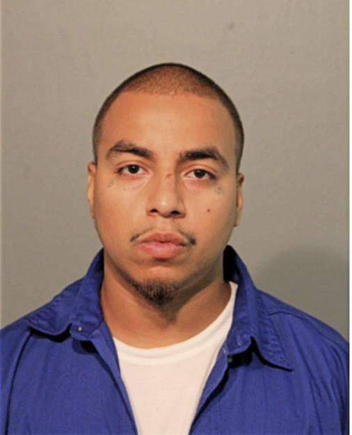 ANTHONY L BERBERENA, Cook County, Illinois
