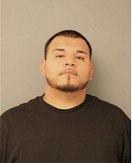 CARLOS E BUSTOS, Cook County, Illinois