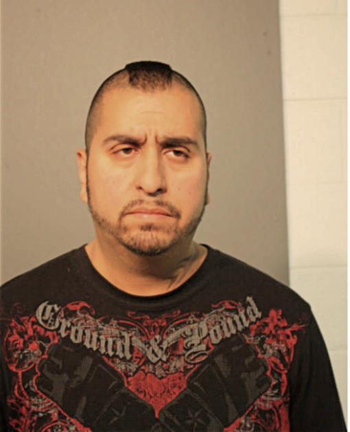 STEVEN M CARMONA, Cook County, Illinois