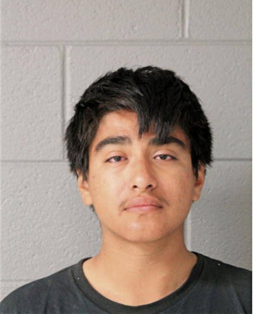 ALEX A CASTELLANOS, Cook County, Illinois