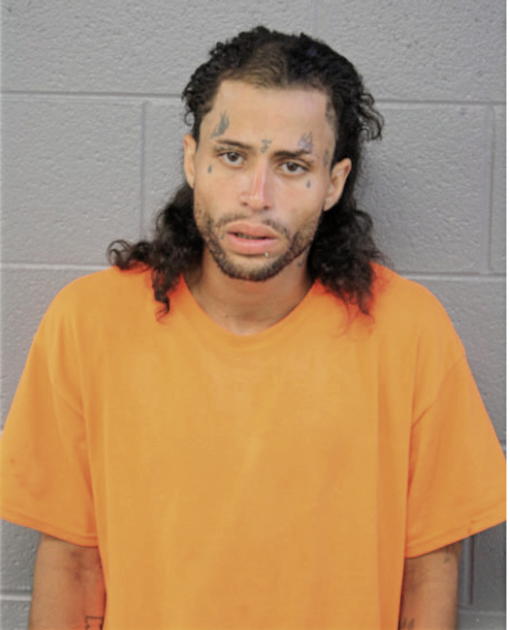 GABRIEL COLON, Cook County, Illinois