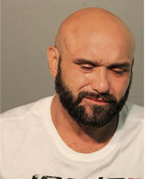 CARLOS J FIGUEROA, Cook County, Illinois
