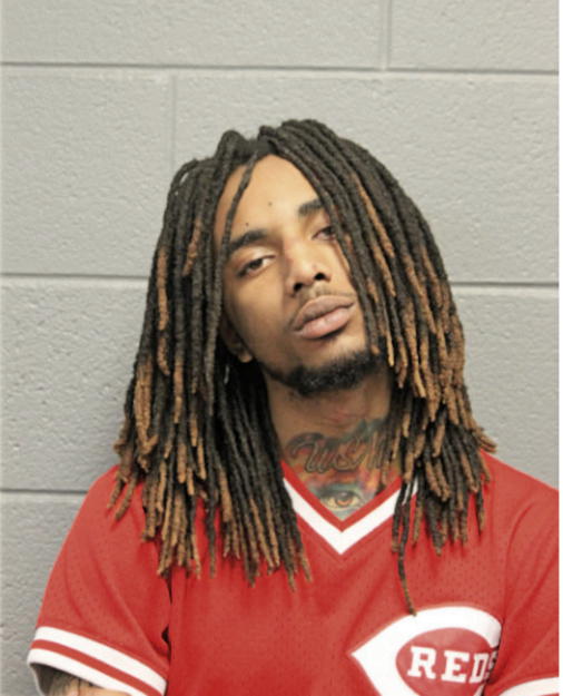 DANIEL L FRIERSON, Cook County, Illinois