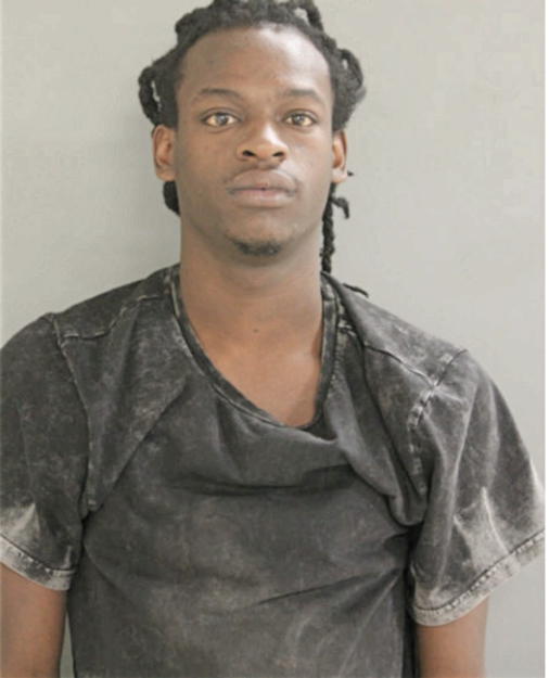 STEVEN D GAYDEN, Cook County, Illinois