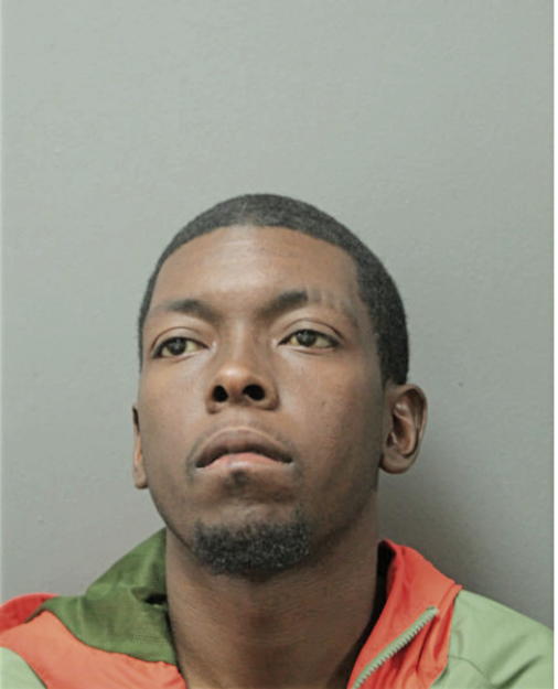 MICHAEL A HAYES, Cook County, Illinois