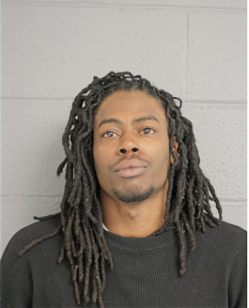 TERRANCE D JOHNSON, Cook County, Illinois