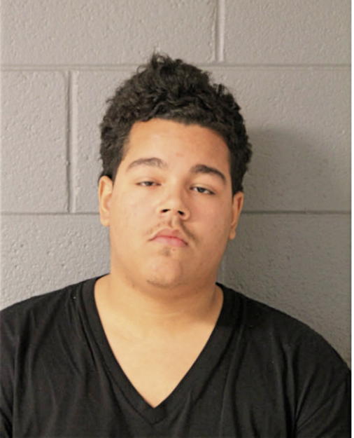 FAIZON S LEWIS, Cook County, Illinois