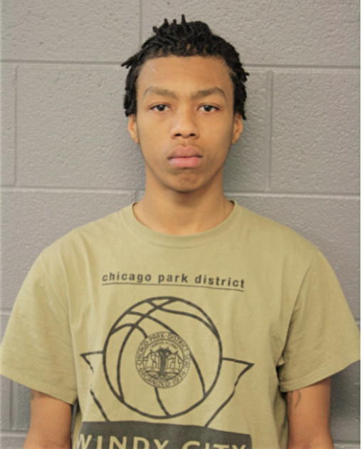 JUSTIN T MCGHEE, Cook County, Illinois