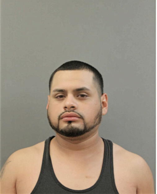 MARIO J MENDOZA, Cook County, Illinois