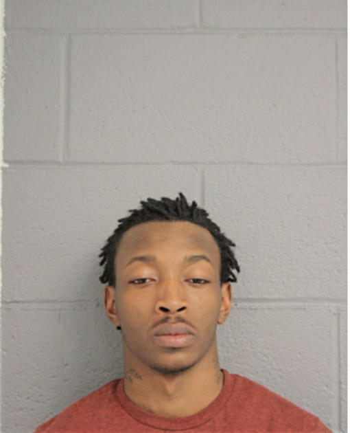KENNETH J NEAL, Cook County, Illinois