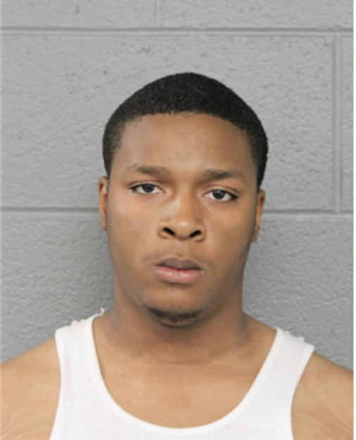 DAVID L NICHOLSON, Cook County, Illinois