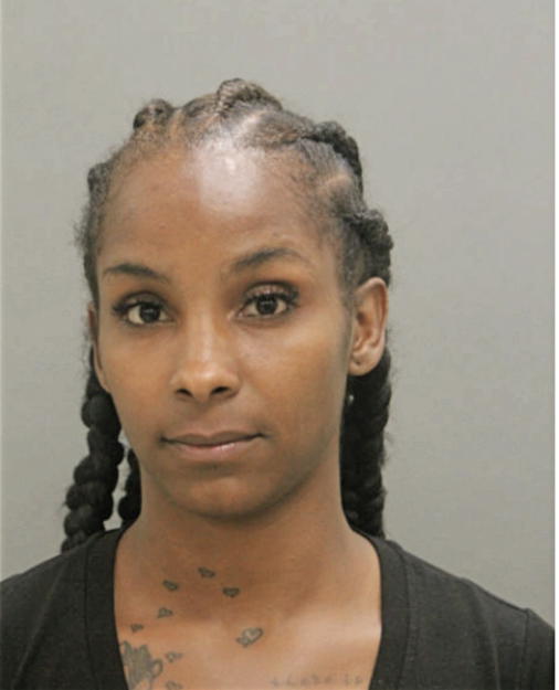 ANDRIANA V NORWOOD, Cook County, Illinois