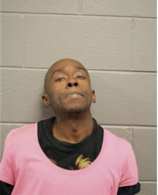 KENYATTE PARKS, Cook County, Illinois
