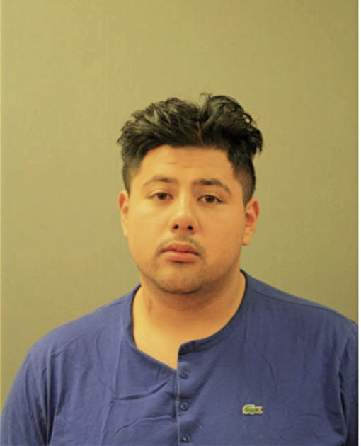 DAVID A RAMIREZ, Cook County, Illinois