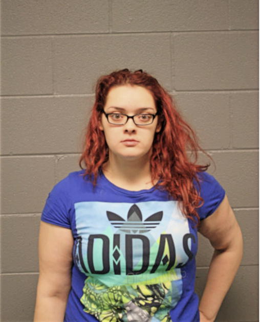 LISABELA A RIVERA, Cook County, Illinois