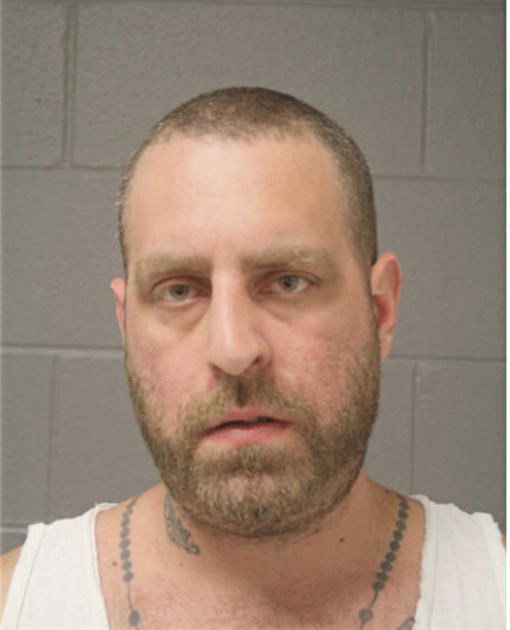 NICHOLAS J ROLEK, Cook County, Illinois