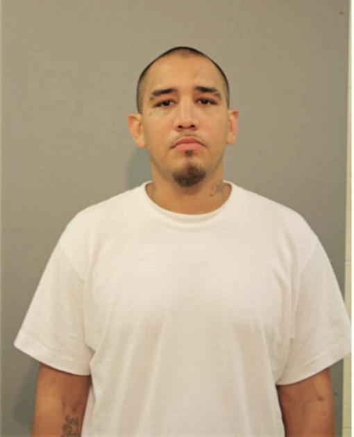 ANTHONY R SANTANA, Cook County, Illinois