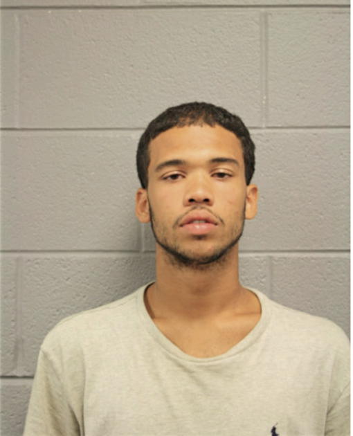 TERRON C TAYLOR, Cook County, Illinois