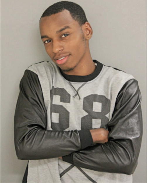 LEZERRICK P TYNES, Cook County, Illinois