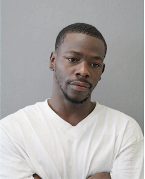 TERRELL L ADAMS, Cook County, Illinois