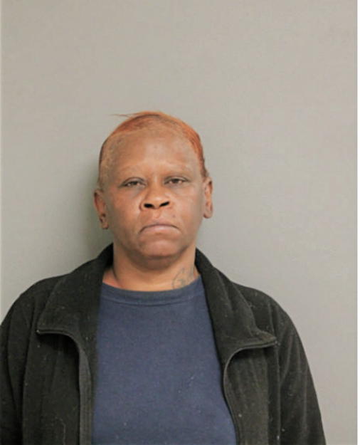 BRENDA JOY AKINS, Cook County, Illinois
