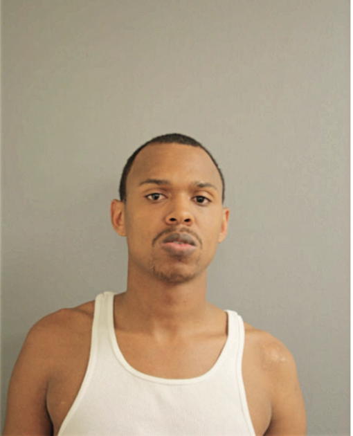 BRANDON J AMISON, Cook County, Illinois