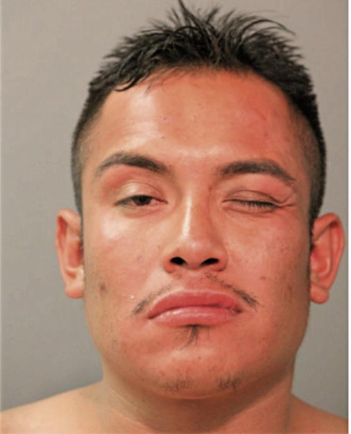 JESUS CASALES BRAVO, Cook County, Illinois