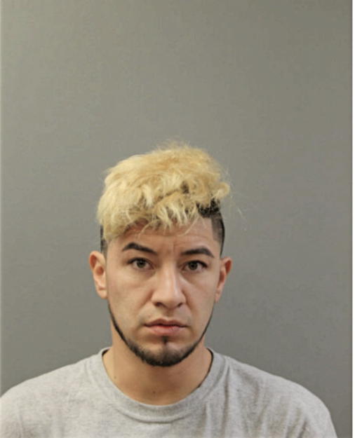 ERWIN CRUZ, Cook County, Illinois