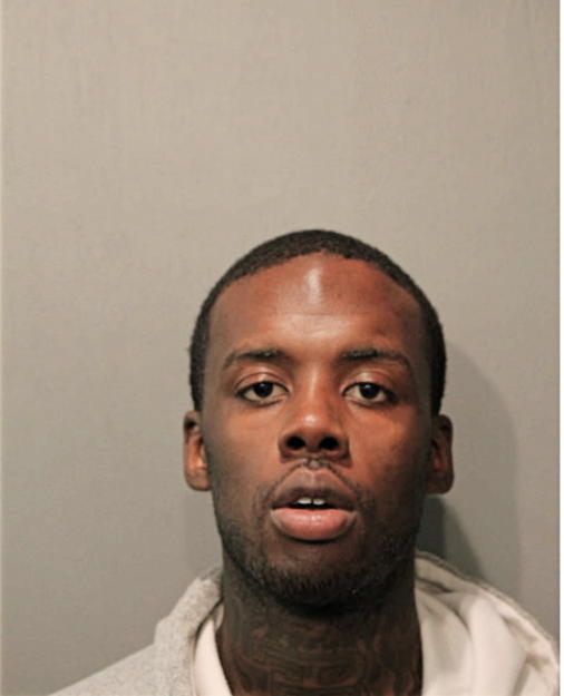MATTHEW W GIBSON, Cook County, Illinois