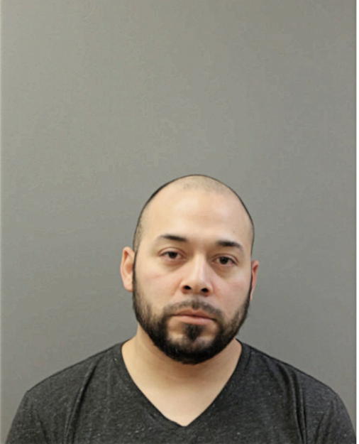 LUDIM A GONZALEZ, Cook County, Illinois
