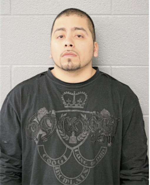 FERNANDO GUZMAN, Cook County, Illinois