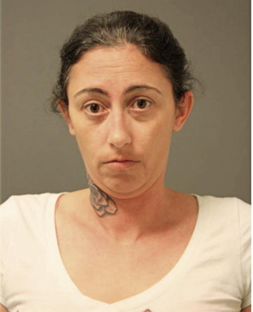 MELISSA S HICKS, Cook County, Illinois