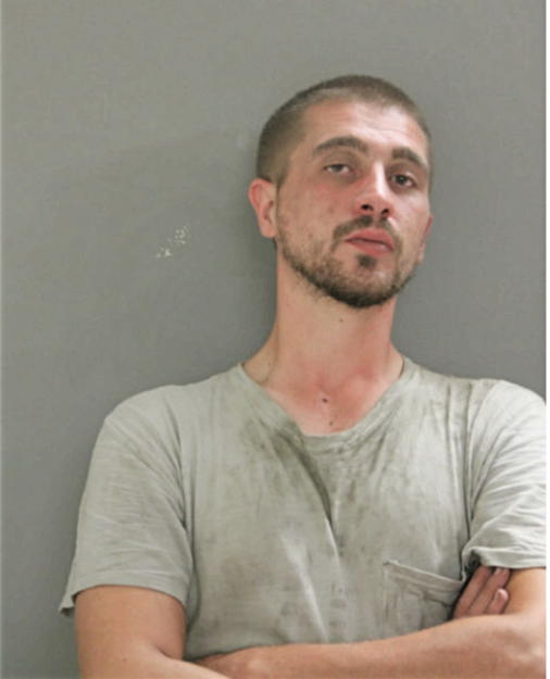 BRANDON E JANOSZ, Cook County, Illinois
