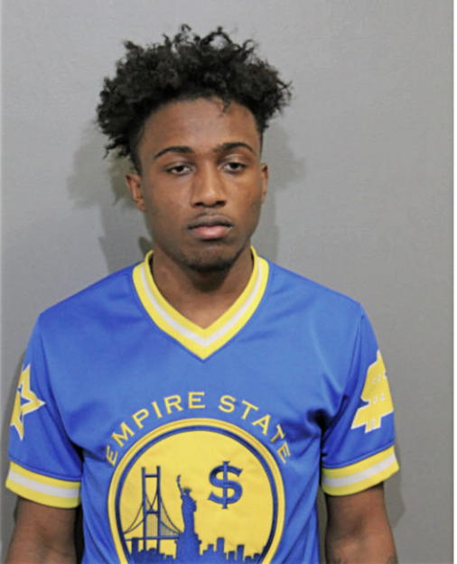 TYREESE J JONES, Cook County, Illinois