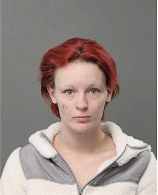 KAILEIGH M JUNG-HERMAN, Cook County, Illinois