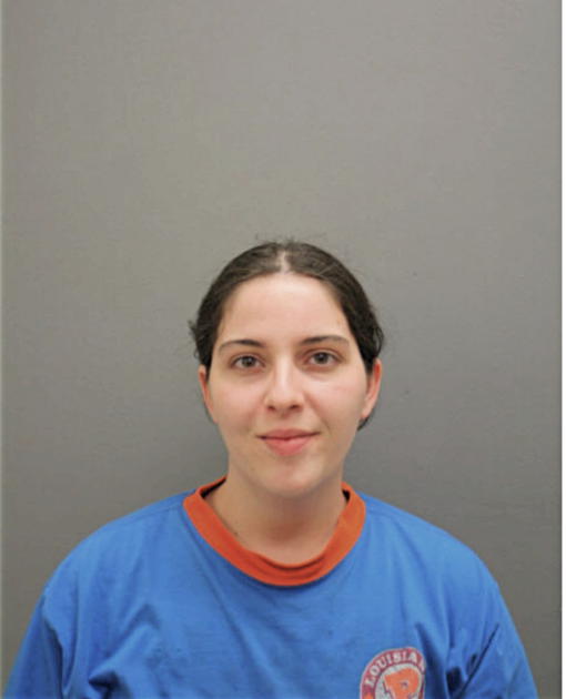 JESSICA R KRENTKOWSKI, Cook County, Illinois