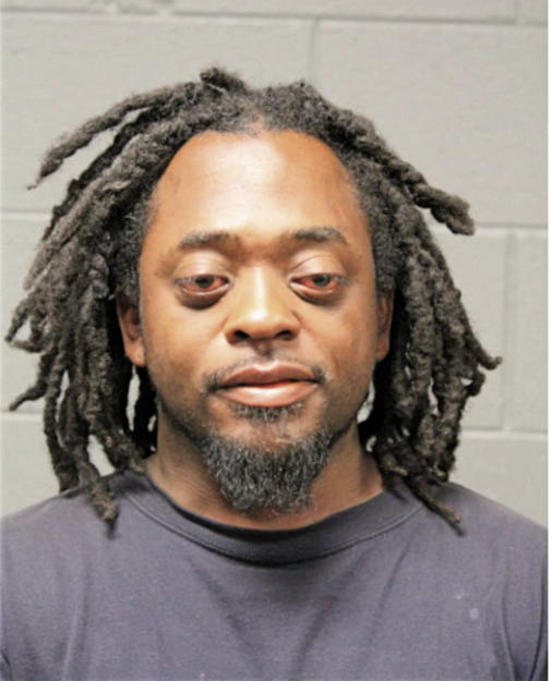 PAUL D LEWIS, Cook County, Illinois